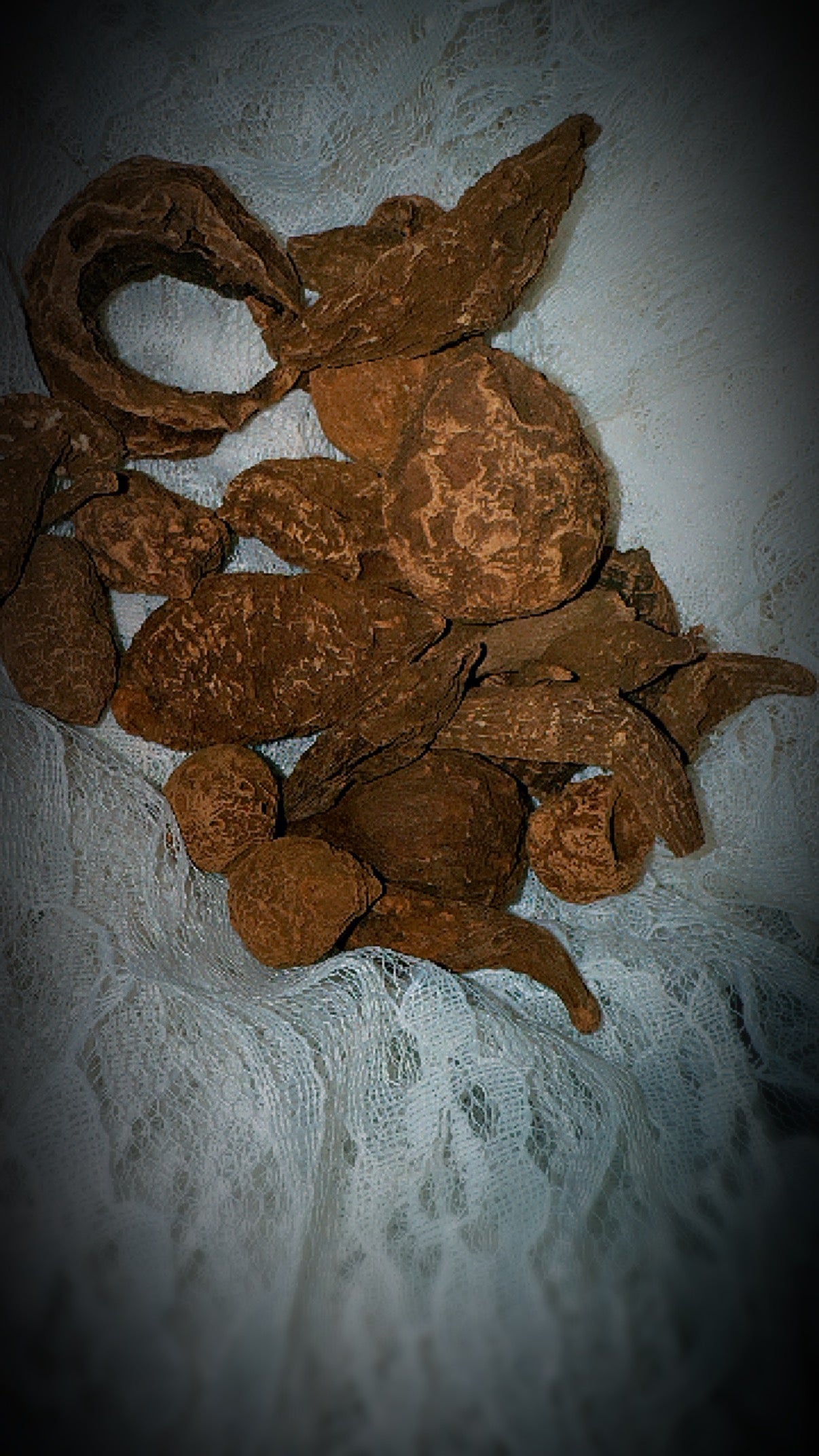 High John the Conqueror Root