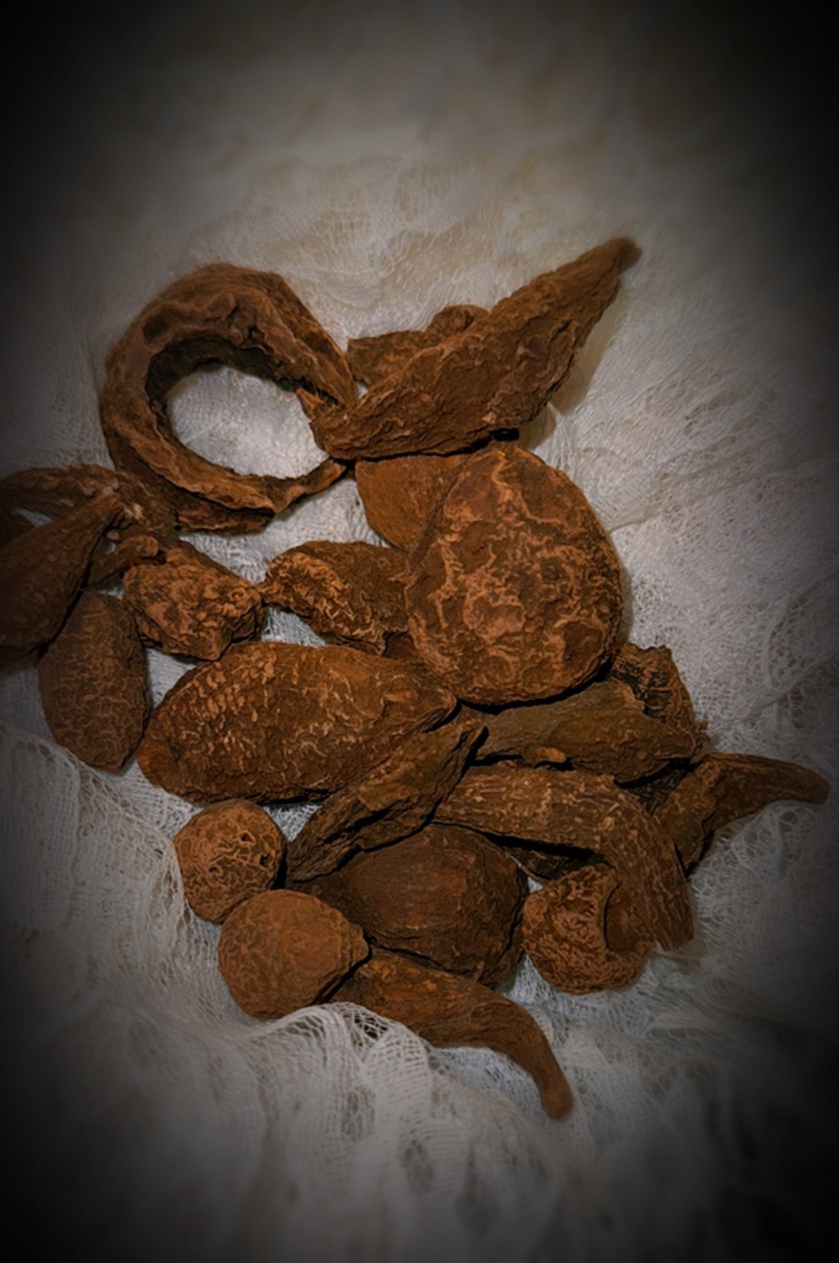 High John the Conqueror Root