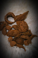 Load image into Gallery viewer, High John the Conqueror Root
